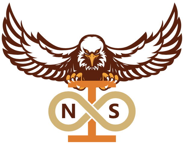 Navachethana Infinity Solution Pvt Ltd Logo